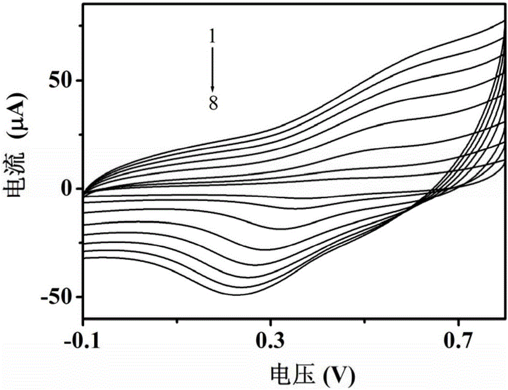 [ru(tatp)3]2+ modified electrode and method for detecting glucose, uric acid and ascorbic acid in blood