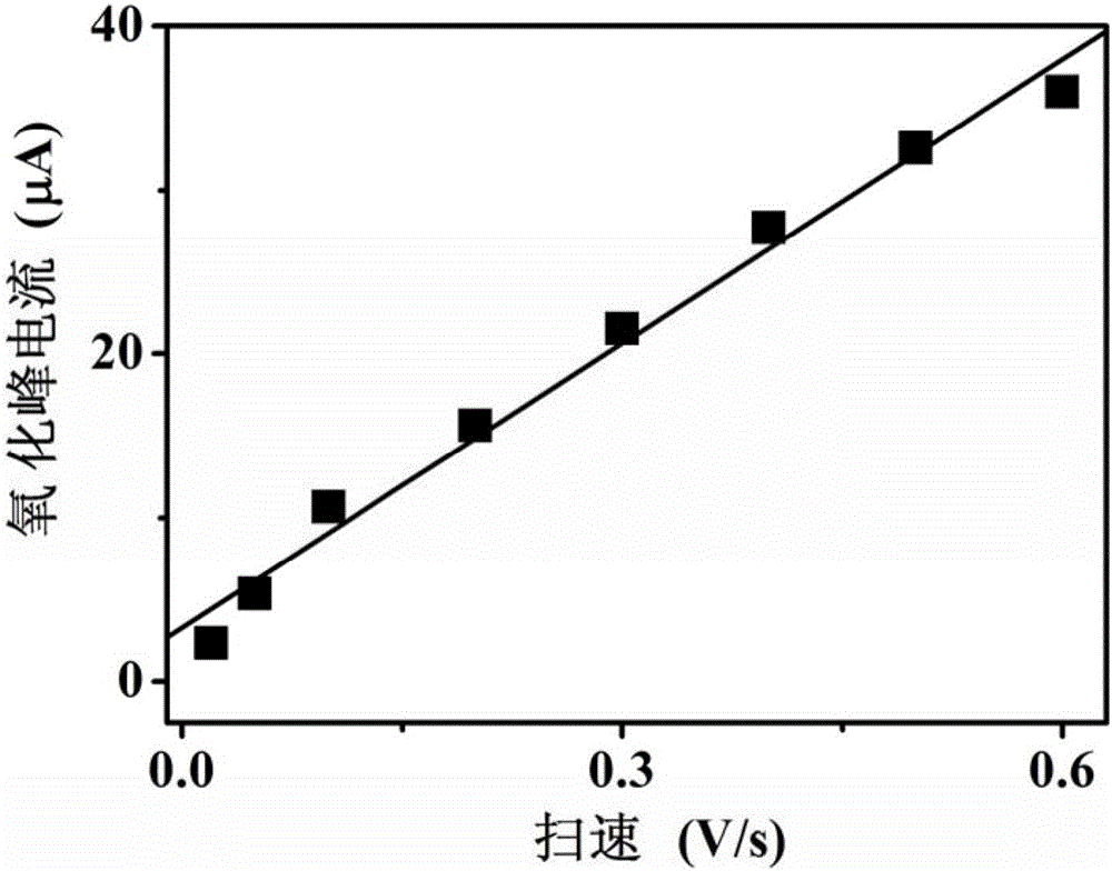 [ru(tatp)3]2+ modified electrode and method for detecting glucose, uric acid and ascorbic acid in blood