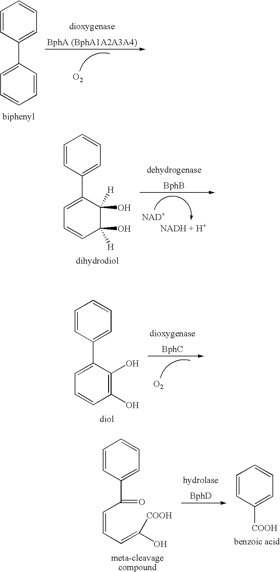 Process for Producing Picolinic Acid Compounds