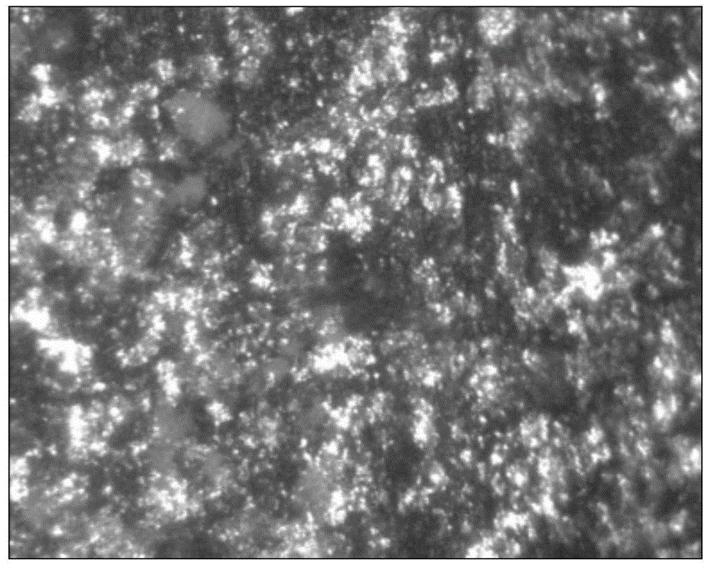 A kind of magnesium alloy corrosion-resistant coating and its application