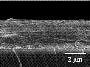 Method for preparing gelatin protein and gold nanoparticle composite thin film and application of gelatin protein and gold nanoparticle composite thin film