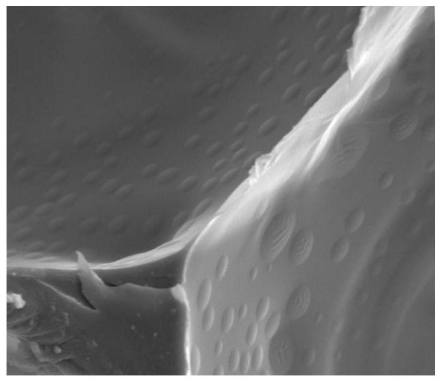 Polyimide sound absorption foam with spherical pit microstructure and preparation method of polyimide sound absorption foam