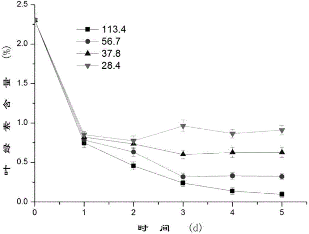 High-density culture method for improving chlorophyll and protein content of chlorella at same time