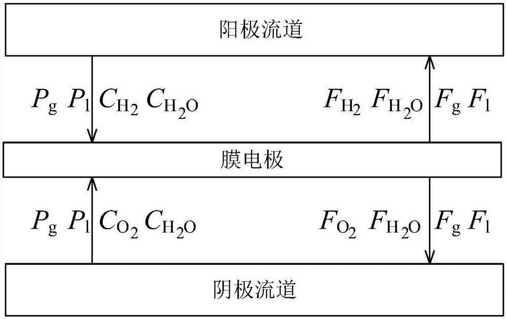 Internal moisture distribution forecast method of proton exchange membrane fuel cell