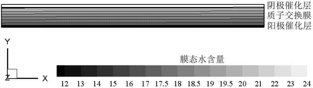 Internal moisture distribution forecast method of proton exchange membrane fuel cell