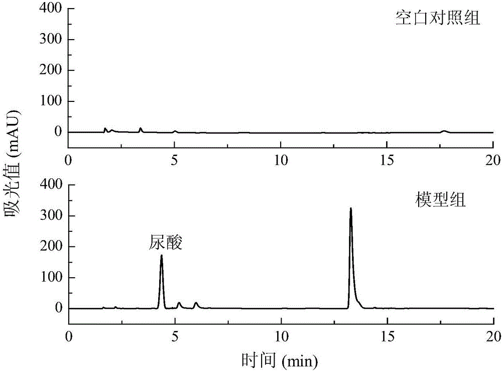 Hyperuricemia hepatocyte model and construction method thereof