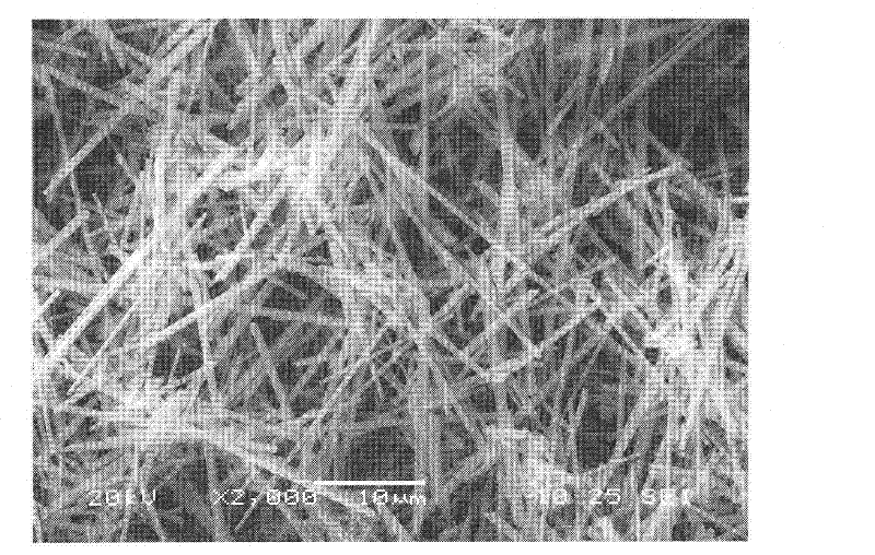 A kind of preparation method of strontium chloroborate whisker