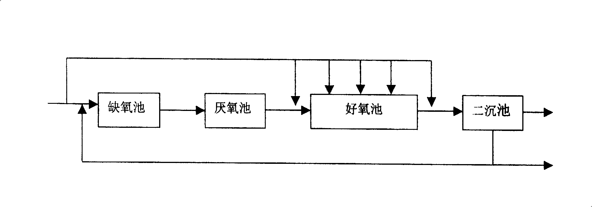 High efficiency nitrification process of biological sewage treatment