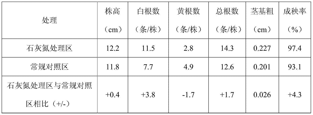 Method for increasing tiller of rice to improve yield by using lime nitrogen and use of lime nitrogen