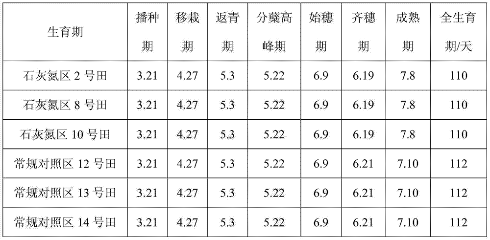 Method for increasing tiller of rice to improve yield by using lime nitrogen and use of lime nitrogen