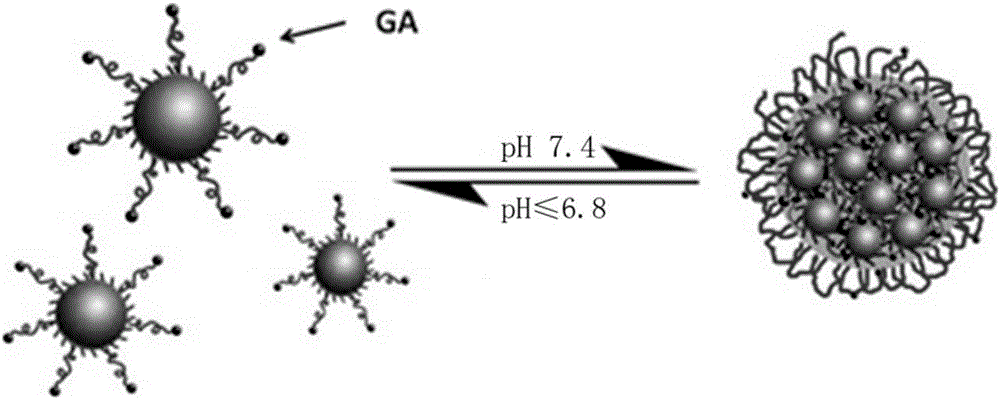 Nano-gold CT contrast agent for early diagnosis of hepatocellular carcinoma and preparation method of contrast agent