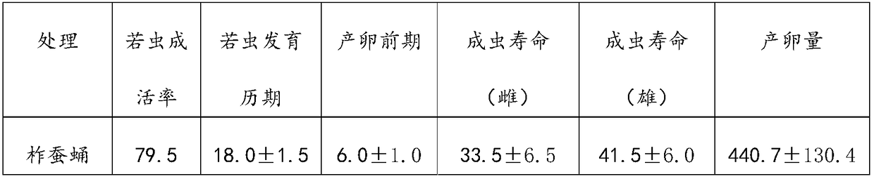 Artificial feed for arma chinensis and preparation method thereof