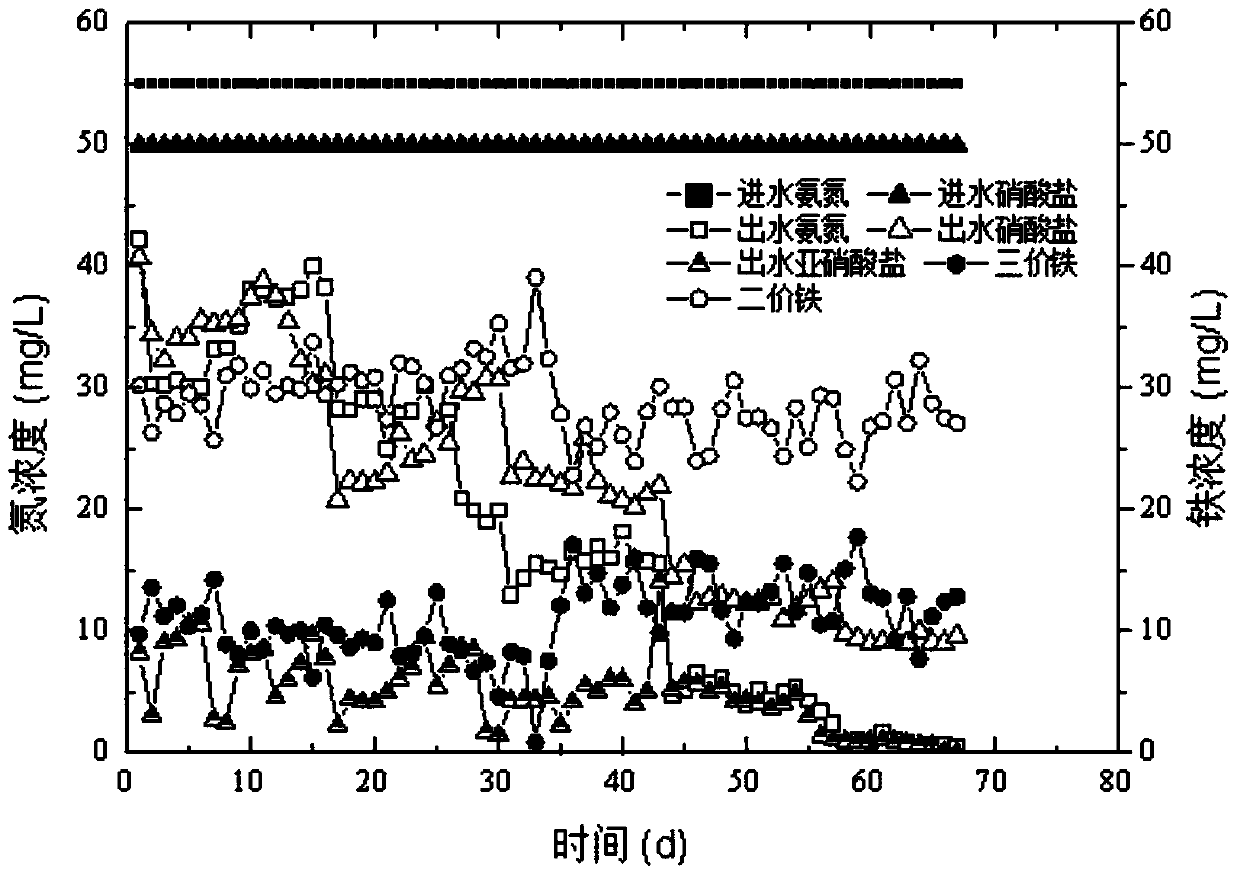 A method for simultaneously removing ammonia nitrogen and nitrate nitrogen from a water body