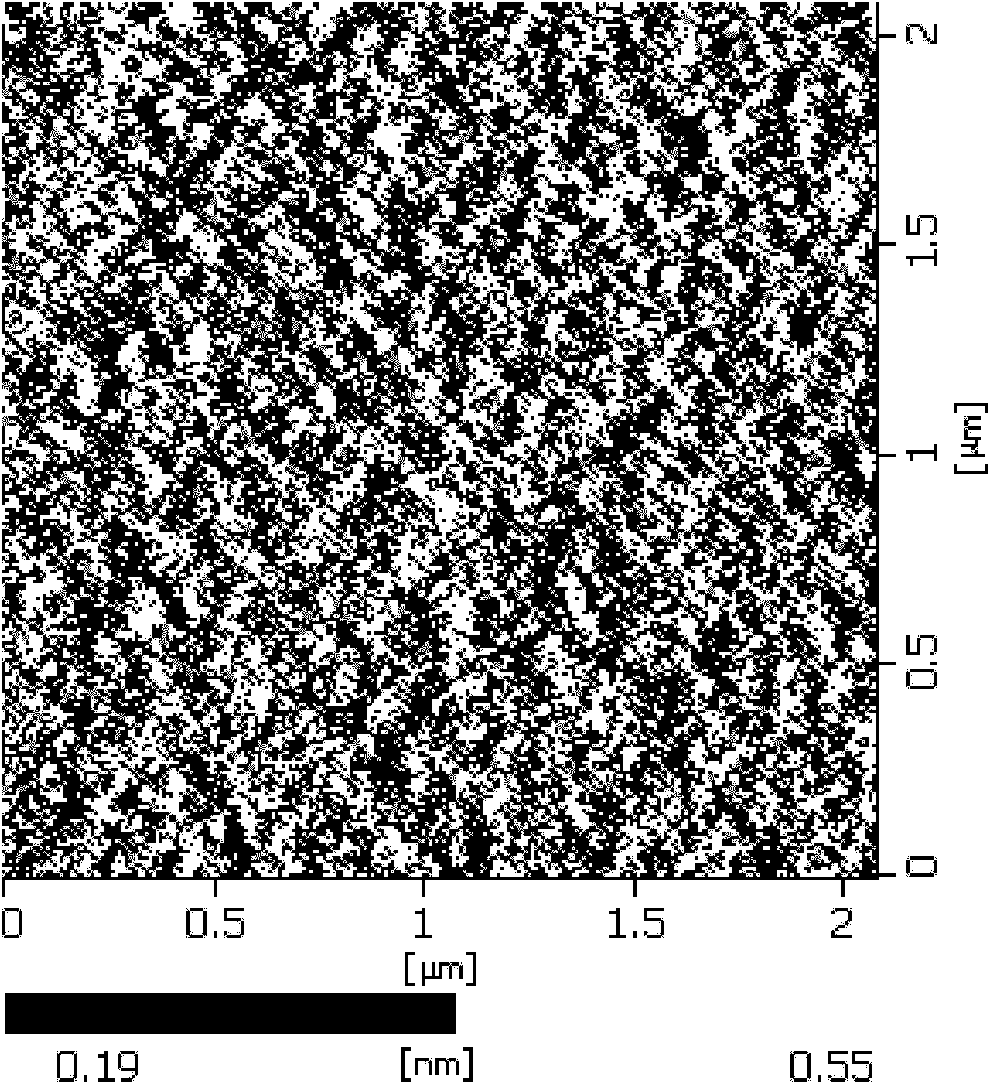 Method for preparing surface plasma resonance chip