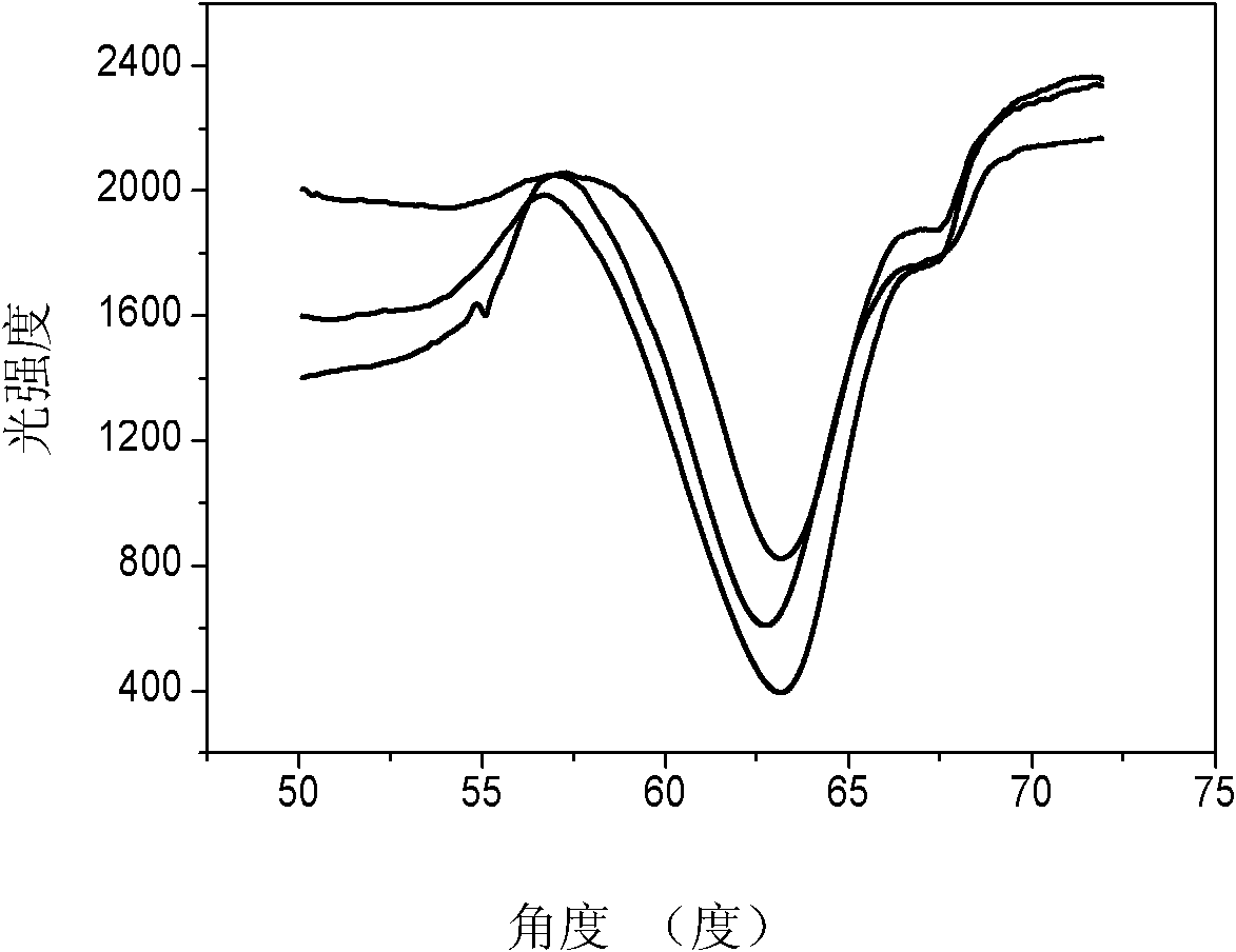 Method for preparing surface plasma resonance chip