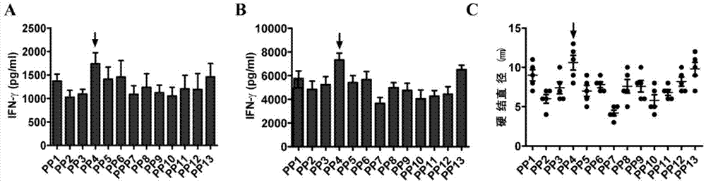 Mycobacterium tuberculosis T cell antigen epitope polypeptide and application thereof