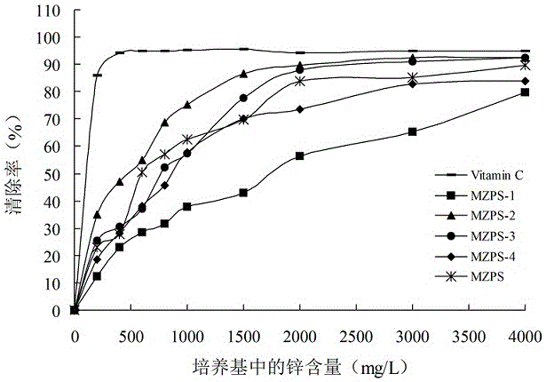 Thelephora ganbajun mycelium polysaccharide as well as preparation method and application of thelephora ganbajun mycelium polysaccharide