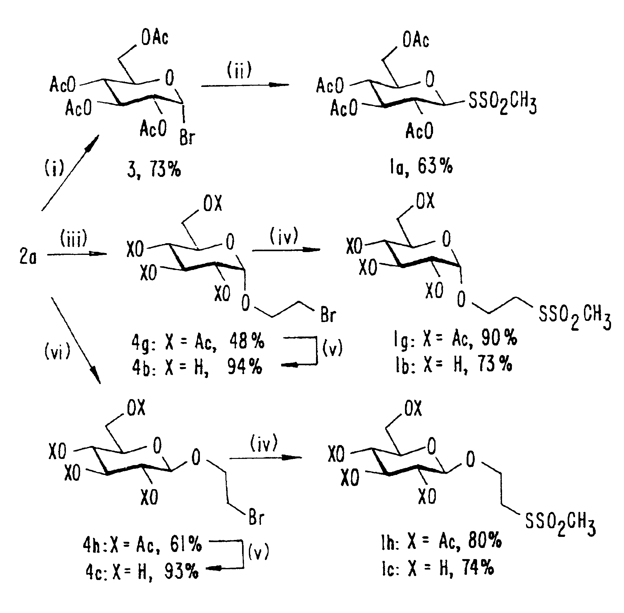 Chemically modified proteins with a carbohydrate moiety