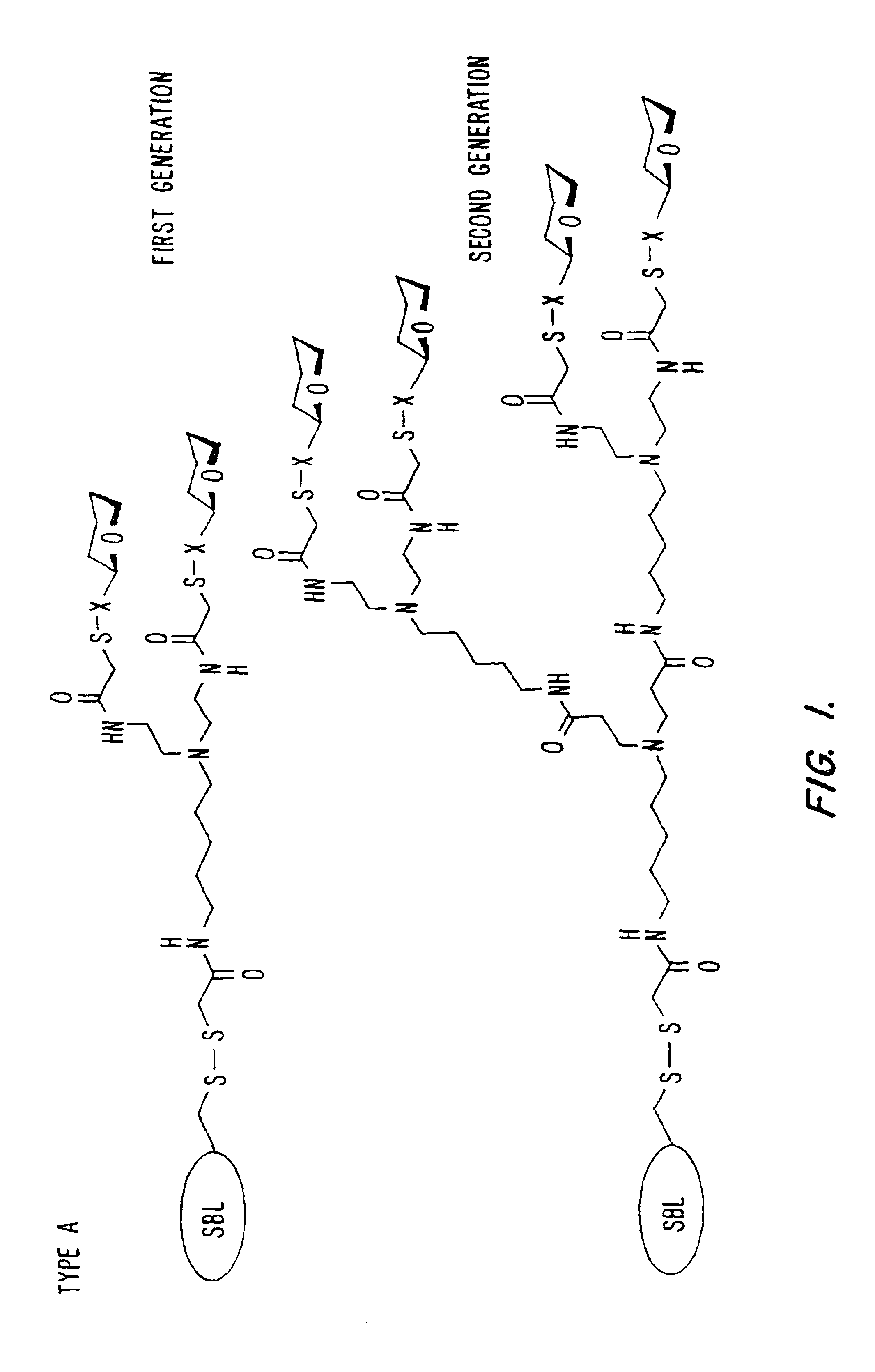 Chemically modified proteins with a carbohydrate moiety