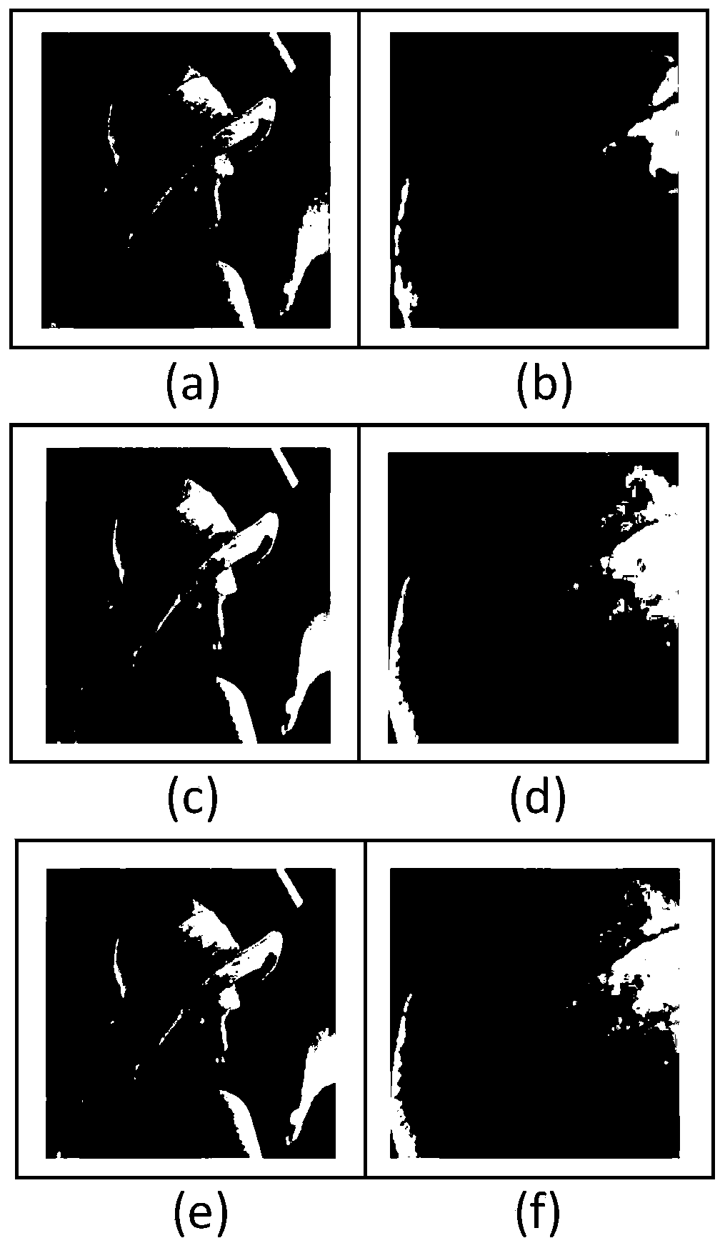 Image denoising method based on high-order overlapping group sparse total variation