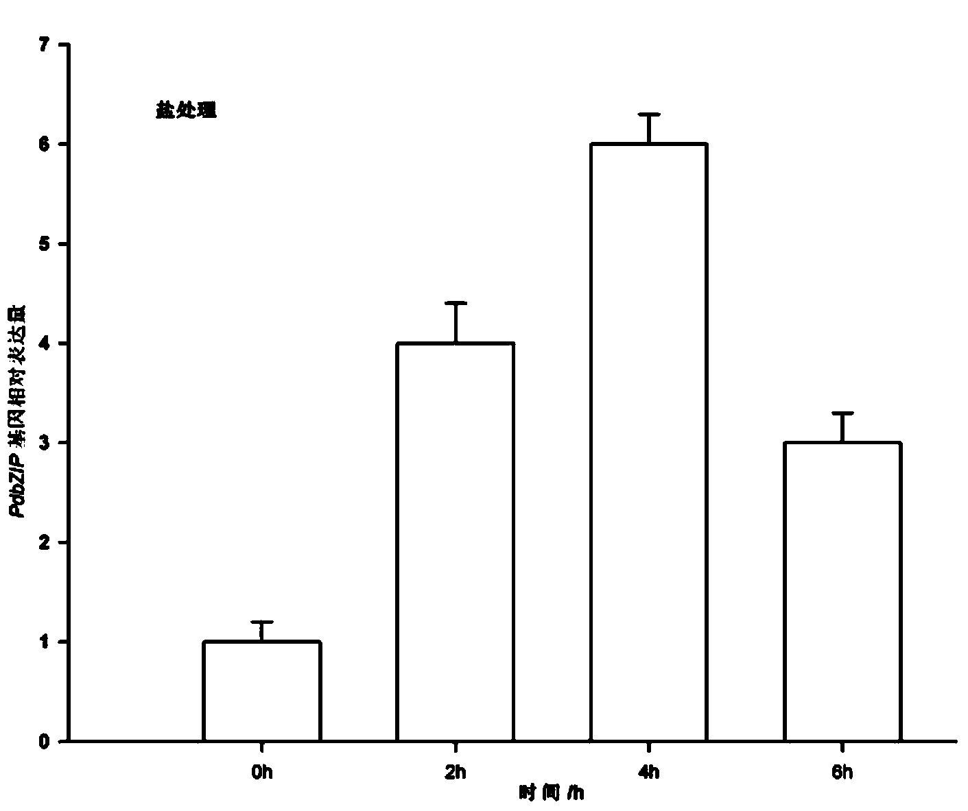 Populus deltoids*populus nigra basic-domain leucine-zipper (PdbZIP) gene and application thereof