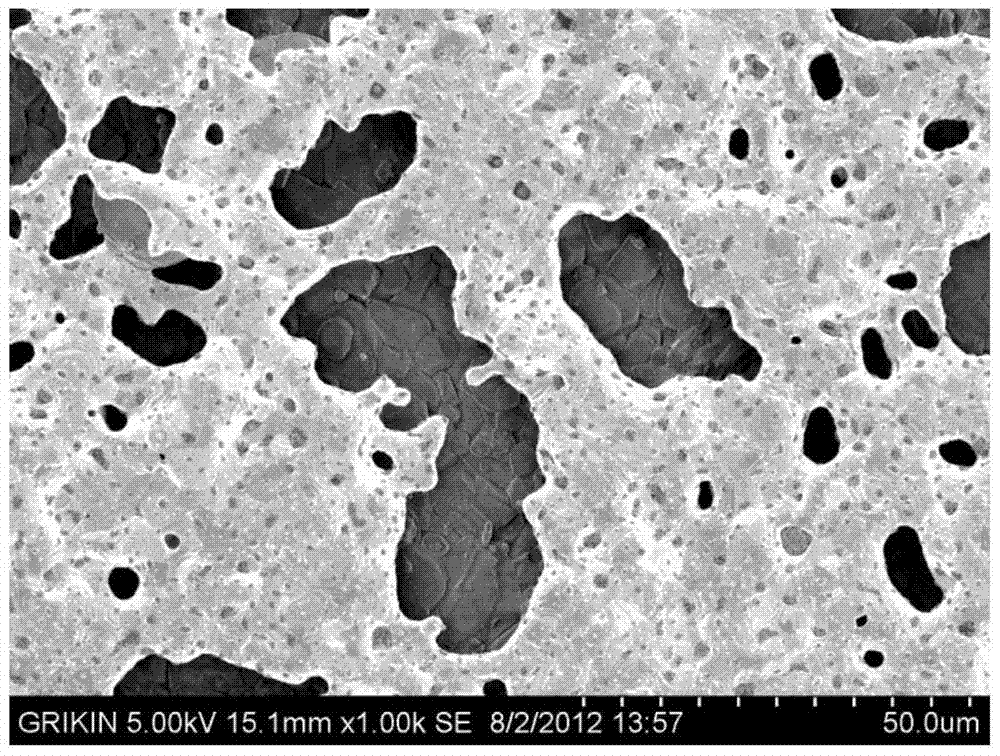 A kind of platinum-ceramic composite powder and its preparation method and application