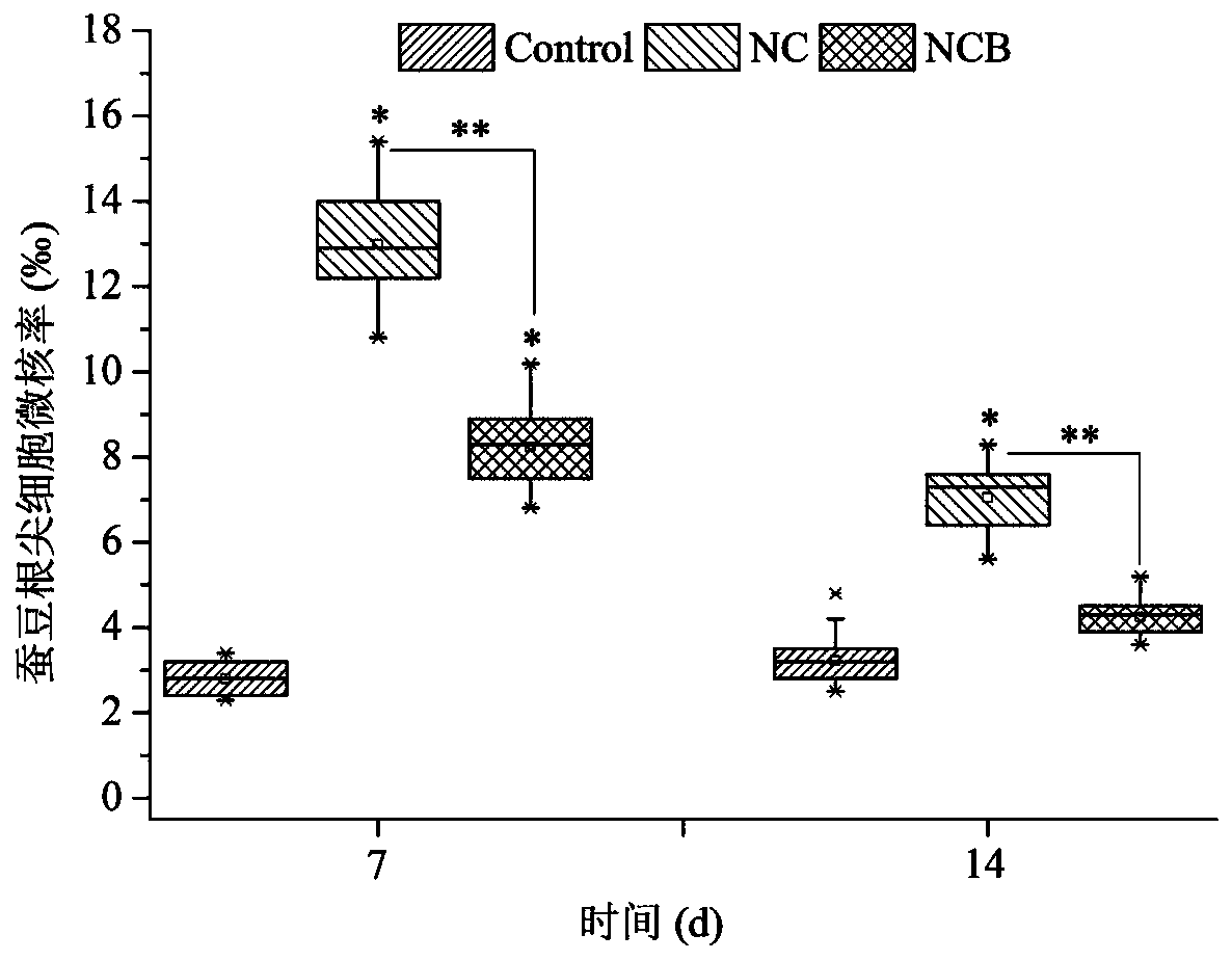 A high-efficiency chlorothalonil-degrading bacterium and its application in greenhouse soil environment