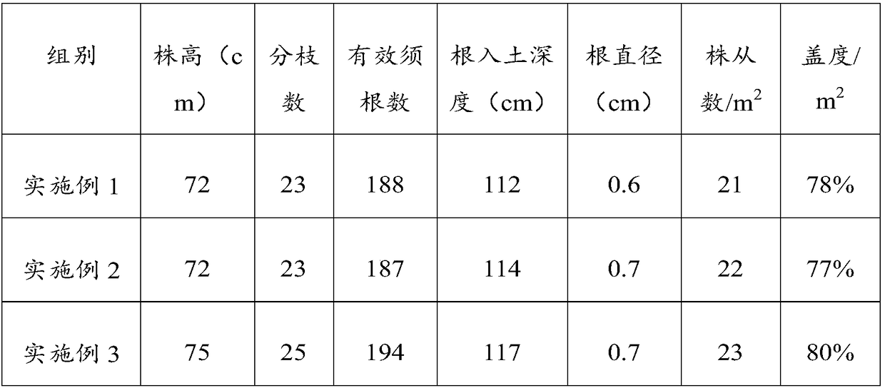 Plant planting method used for ameliorating quicksand land and method used for ameliorating quicksand land