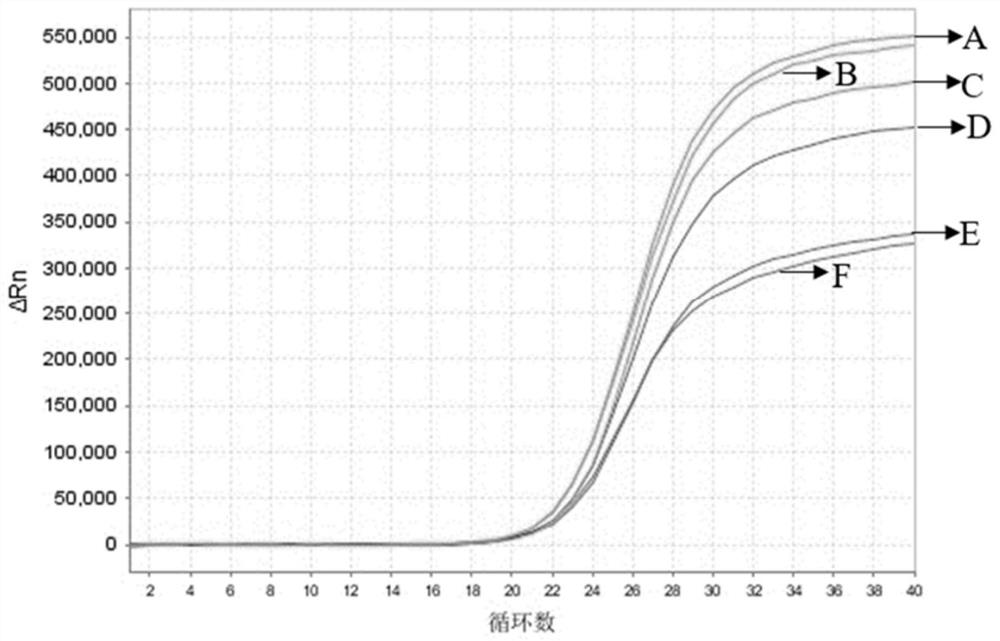 Primer probe combination for detecting bovine respiratory viruses, kit and application