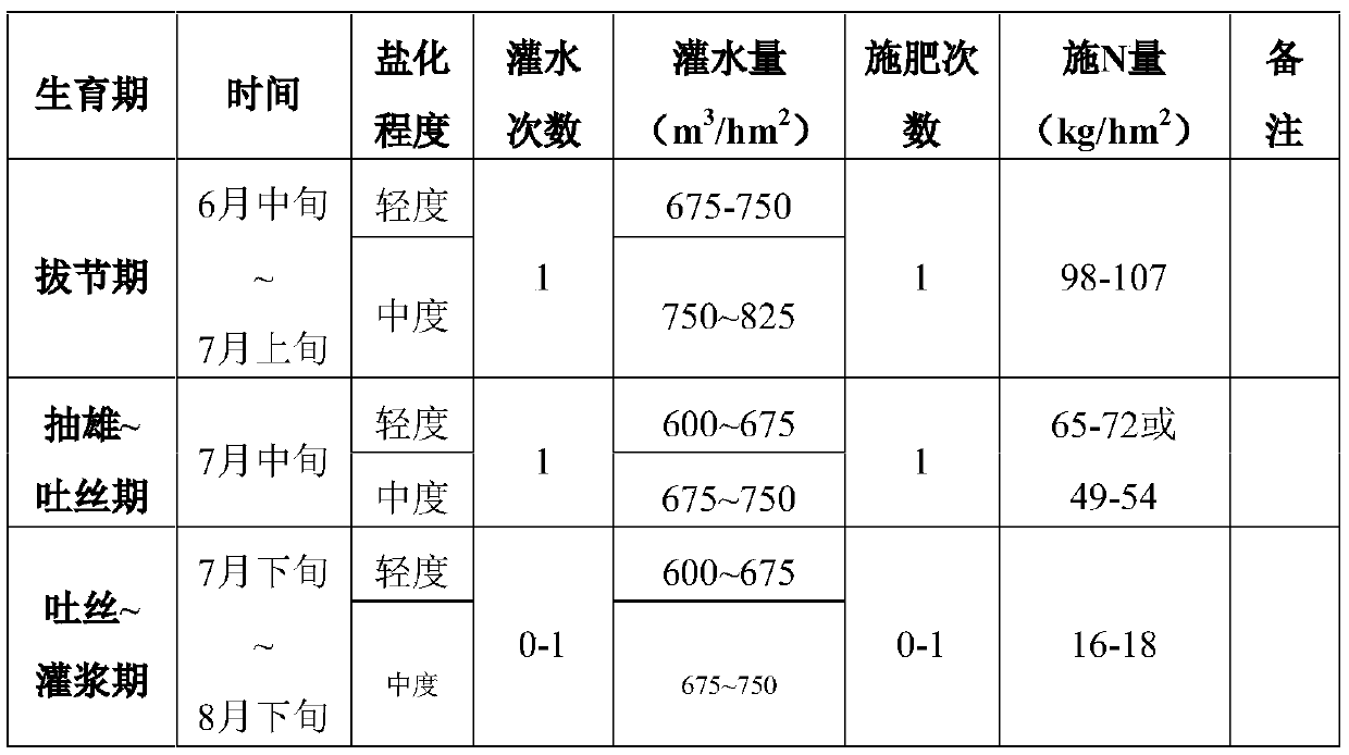 High-efficiency corn cultivation method in saline-alkali land