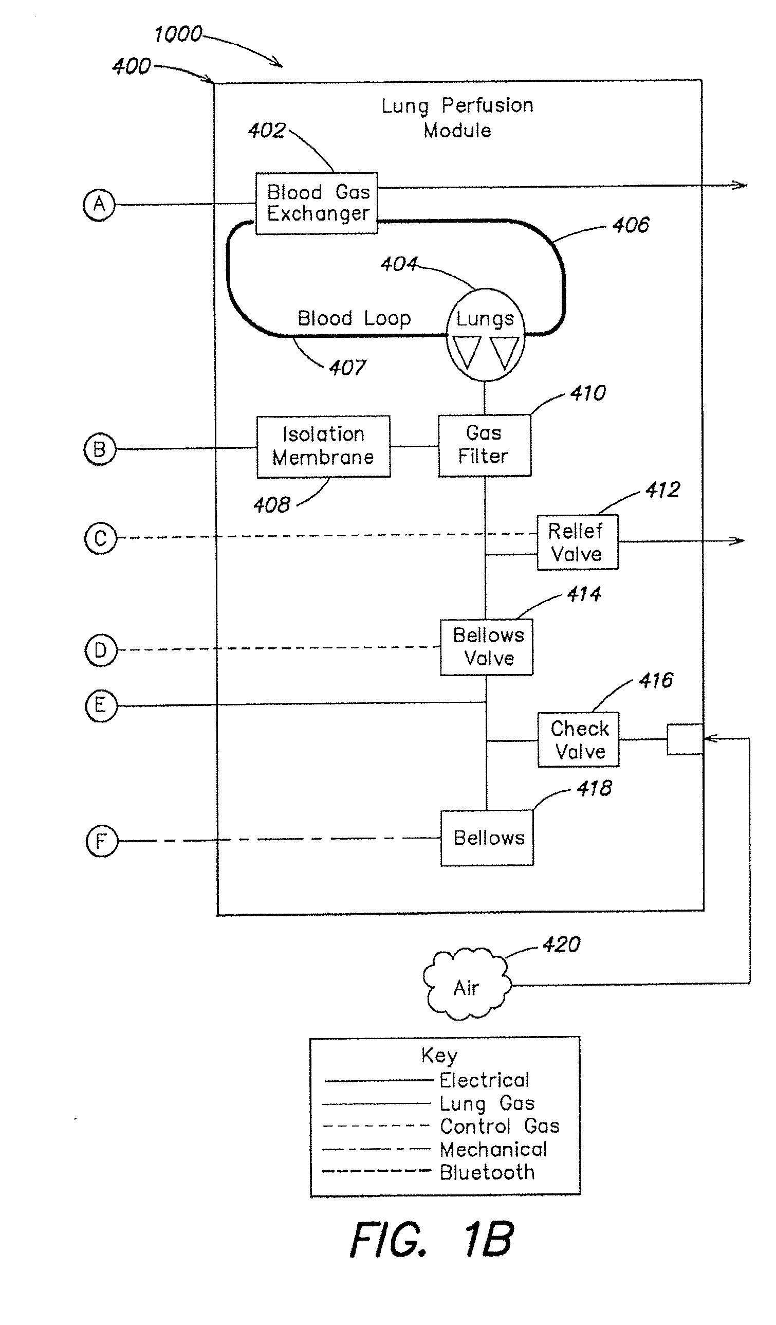 SYSTEMS AND METHODS FOR Ex vivo LUNG CARE