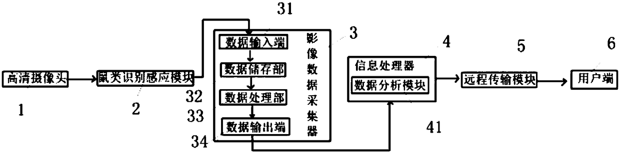 Rat density monitoring method and a monitoring system