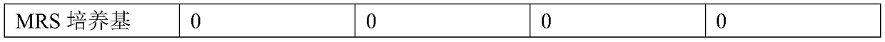 Lactobacillus plantarum and application thereof