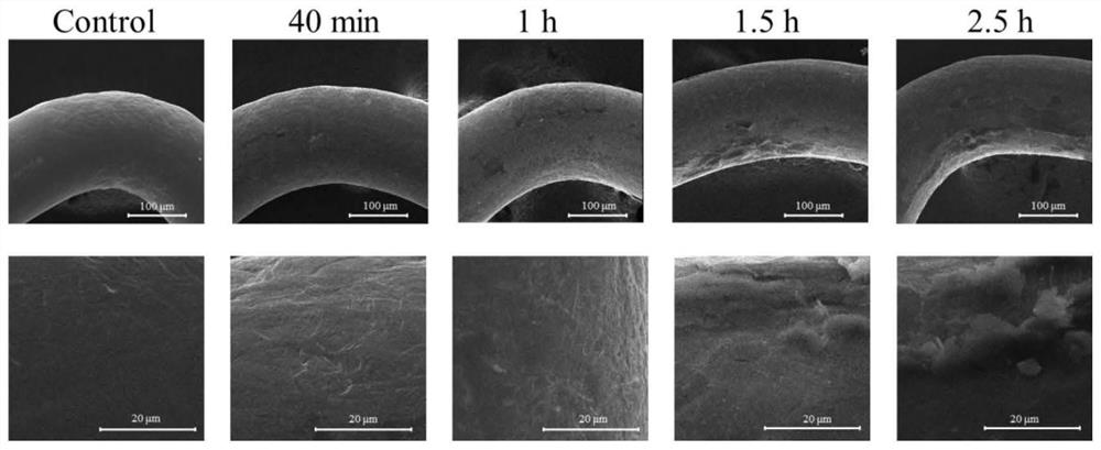 Radioactive lumen stent and preparation method thereof