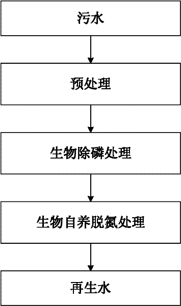 Method and System for Phosphorus and Nitrogen Removal in Sewage