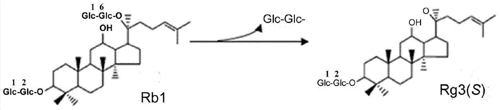 A rapid non-thermal preparation method of rare ginsenoside rg3(s)
