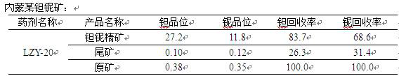 A kind of beneficiation agent for tantalum-niobium ore flotation tantalum-niobium and preparation method thereof