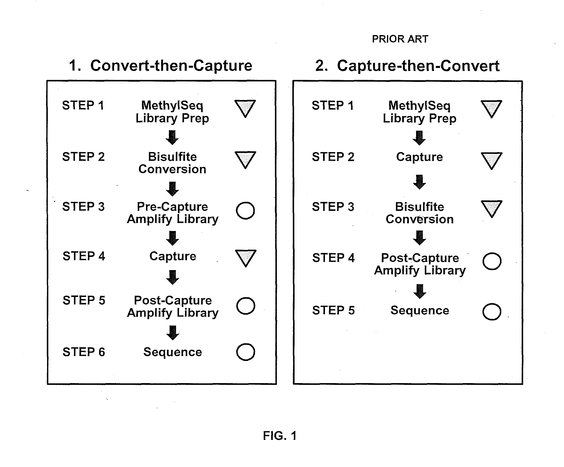 Methods of assessing epigenetic regulation of genome function via DNA methylation status and systems and kits therefor