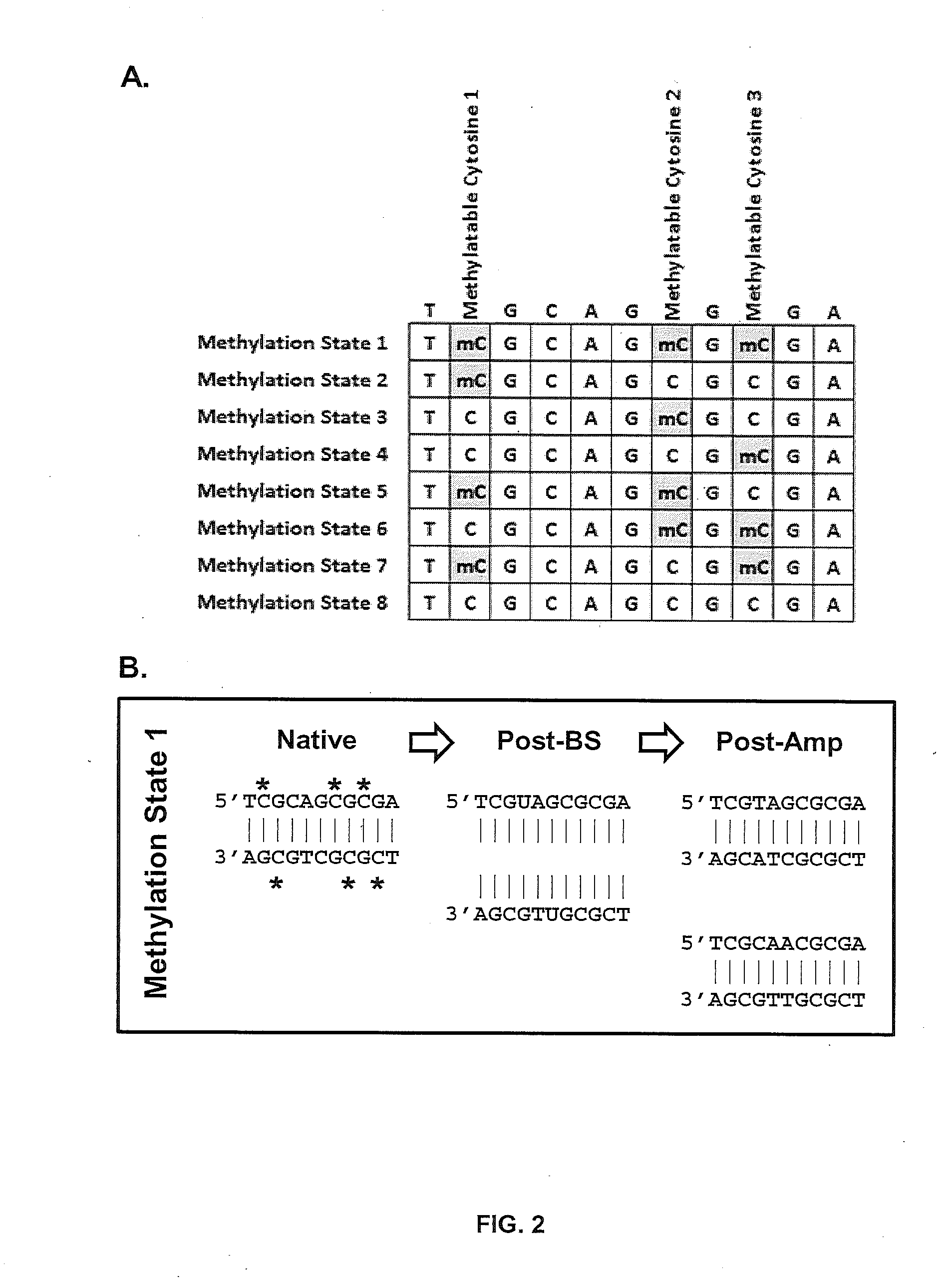 Methods of assessing epigenetic regulation of genome function via DNA methylation status and systems and kits therefor