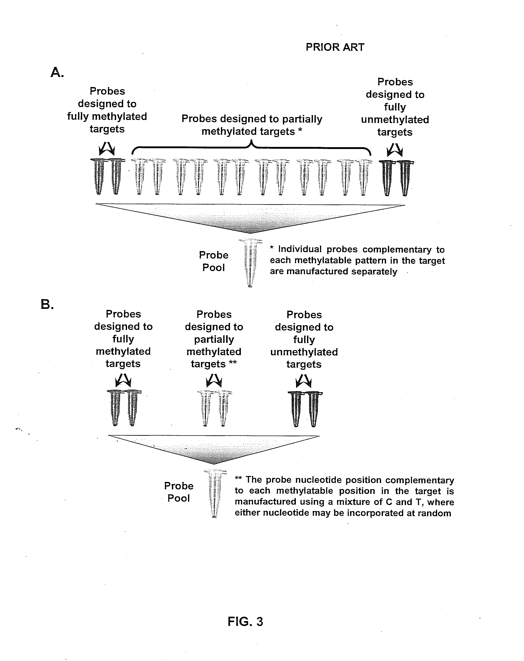 Methods of assessing epigenetic regulation of genome function via DNA methylation status and systems and kits therefor