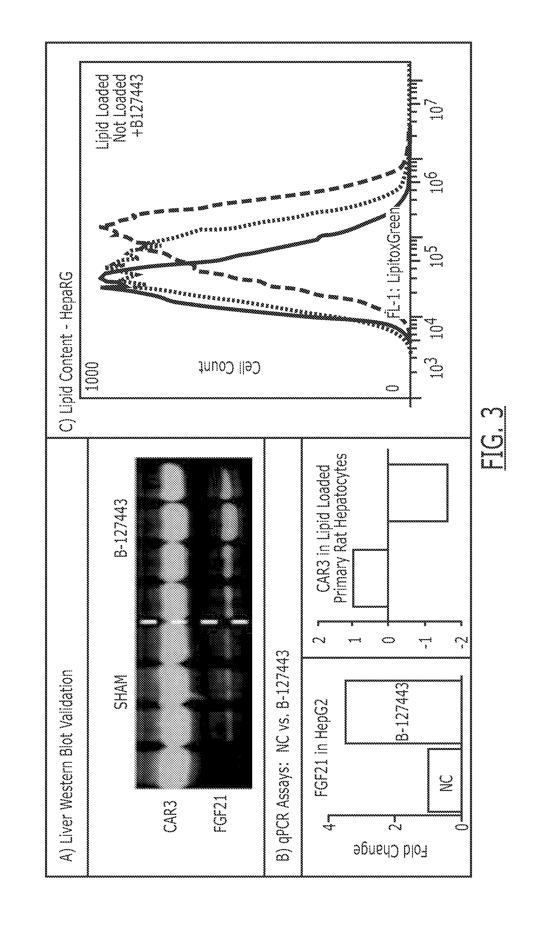 Compounds useful for the treatment of metabolic disorders and synthesis of the same