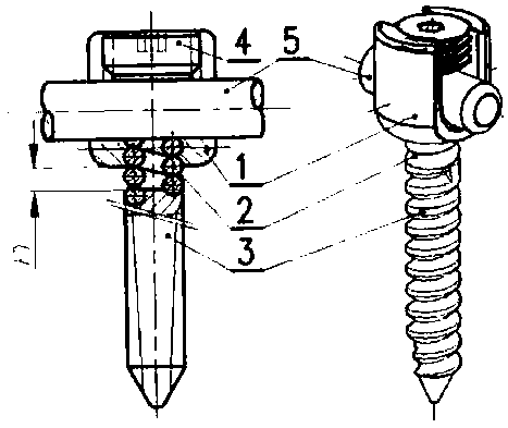 Flexible pedicle screw