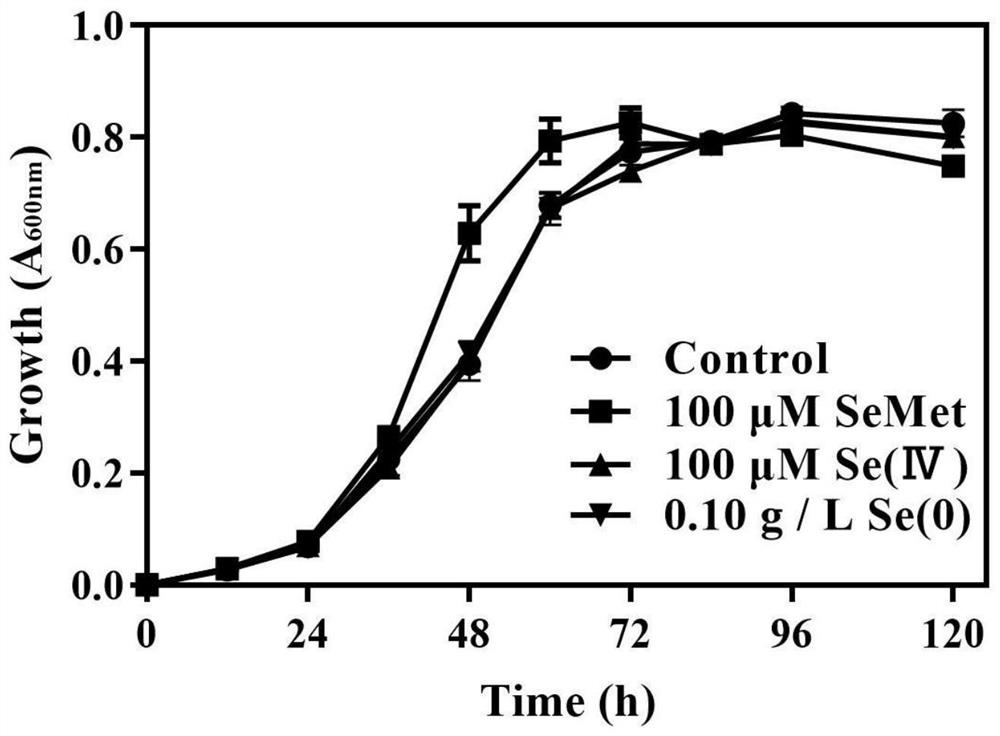 LX-88 strain with good selenium conversion and Se (0) oxidation capacities and application of LX-88 strain