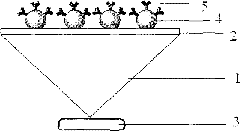 Surface plasmon resonance sensing element and manufacturing method thereof