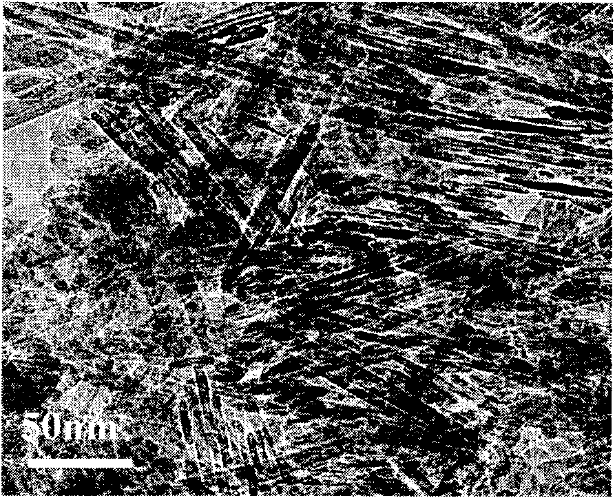 Rod-like one-dimensional polycrystalline gamma-Al2O3 nanocrystal grains and preparation method thereof