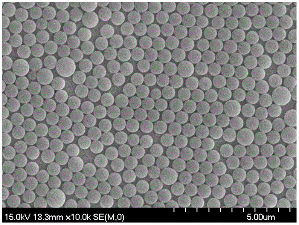 Preparation method of conductive polymer film having inverse opal structure