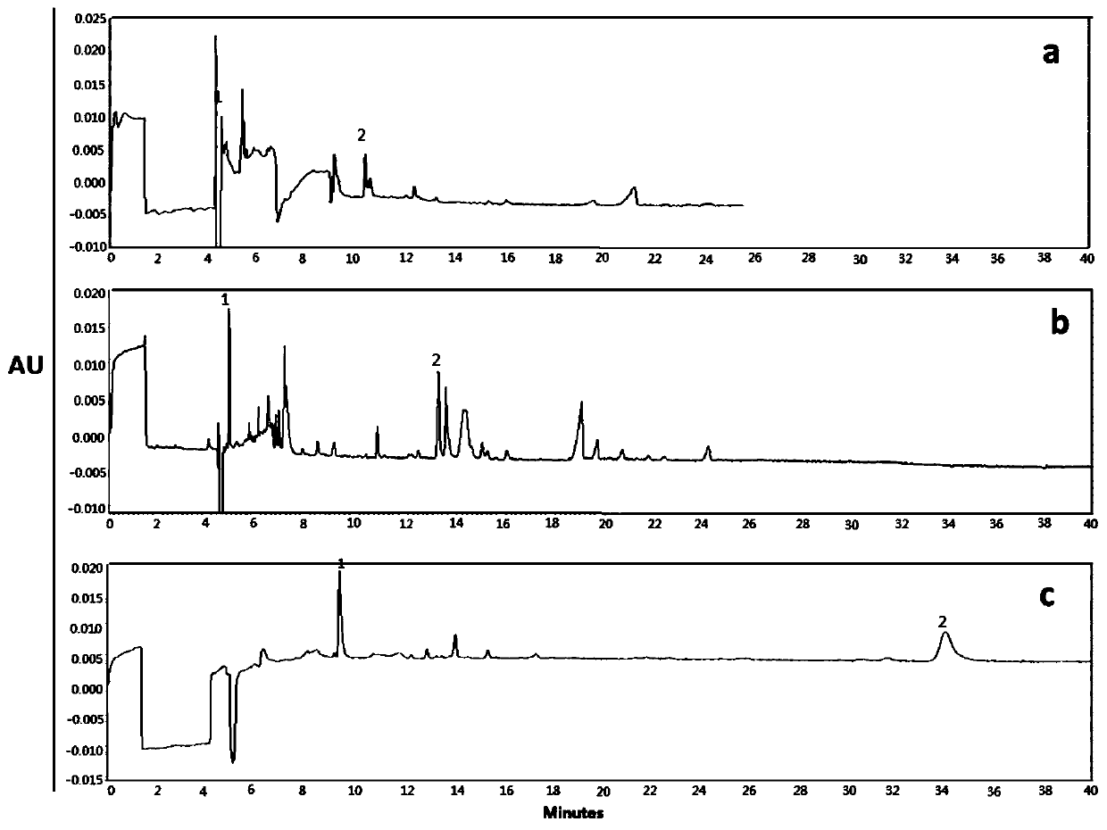 A detection method of 5-fluorocytosine and 5-fluorouracil in cells based on capillary electrophoresis