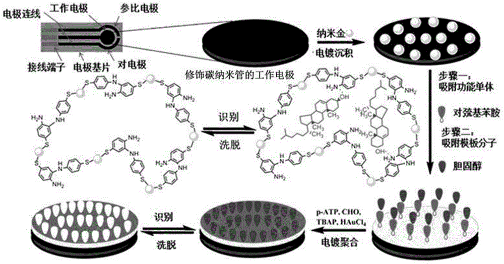 A Portable Cholesterol Molecularly Imprinted Screen Printing Electrochemical Detector