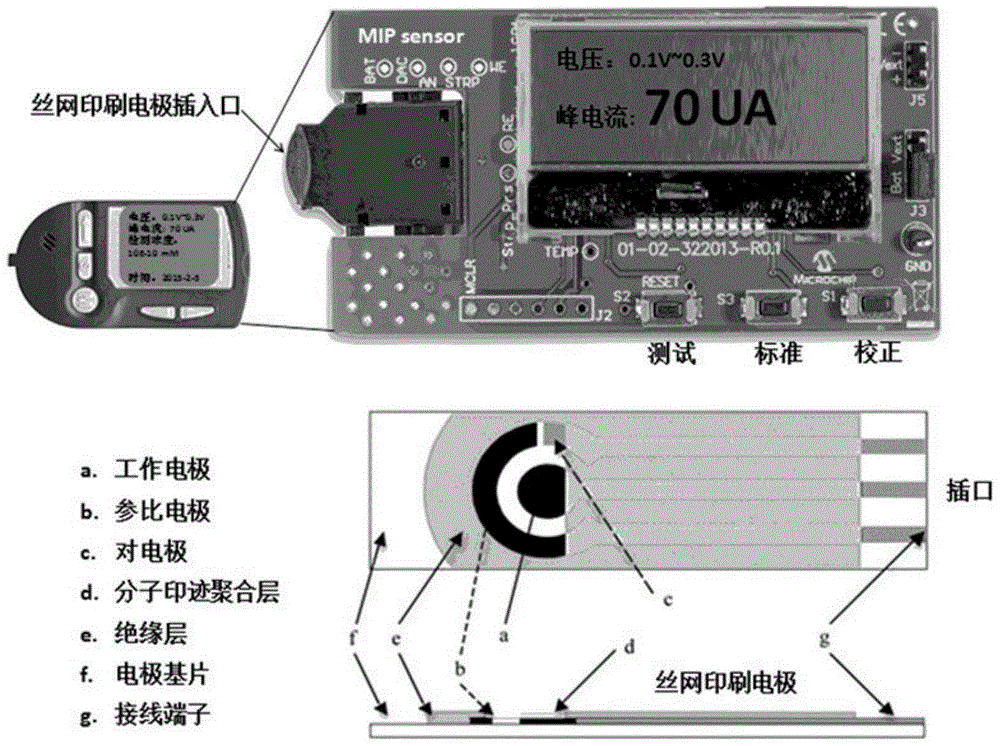 A Portable Cholesterol Molecularly Imprinted Screen Printing Electrochemical Detector