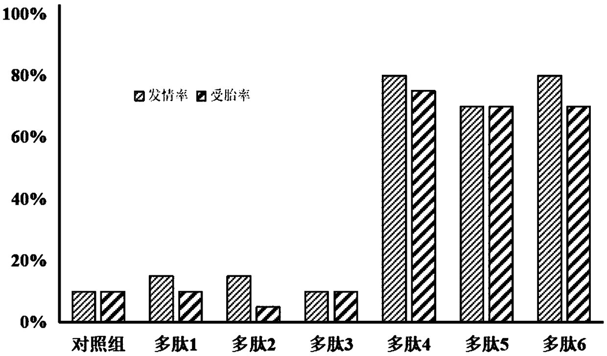 Camellia oleifera meal polypeptide, preparation method and application in cryopreservation of bovine semen